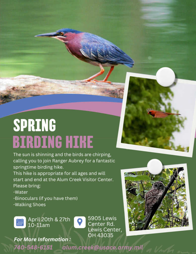 spring time bird hikes